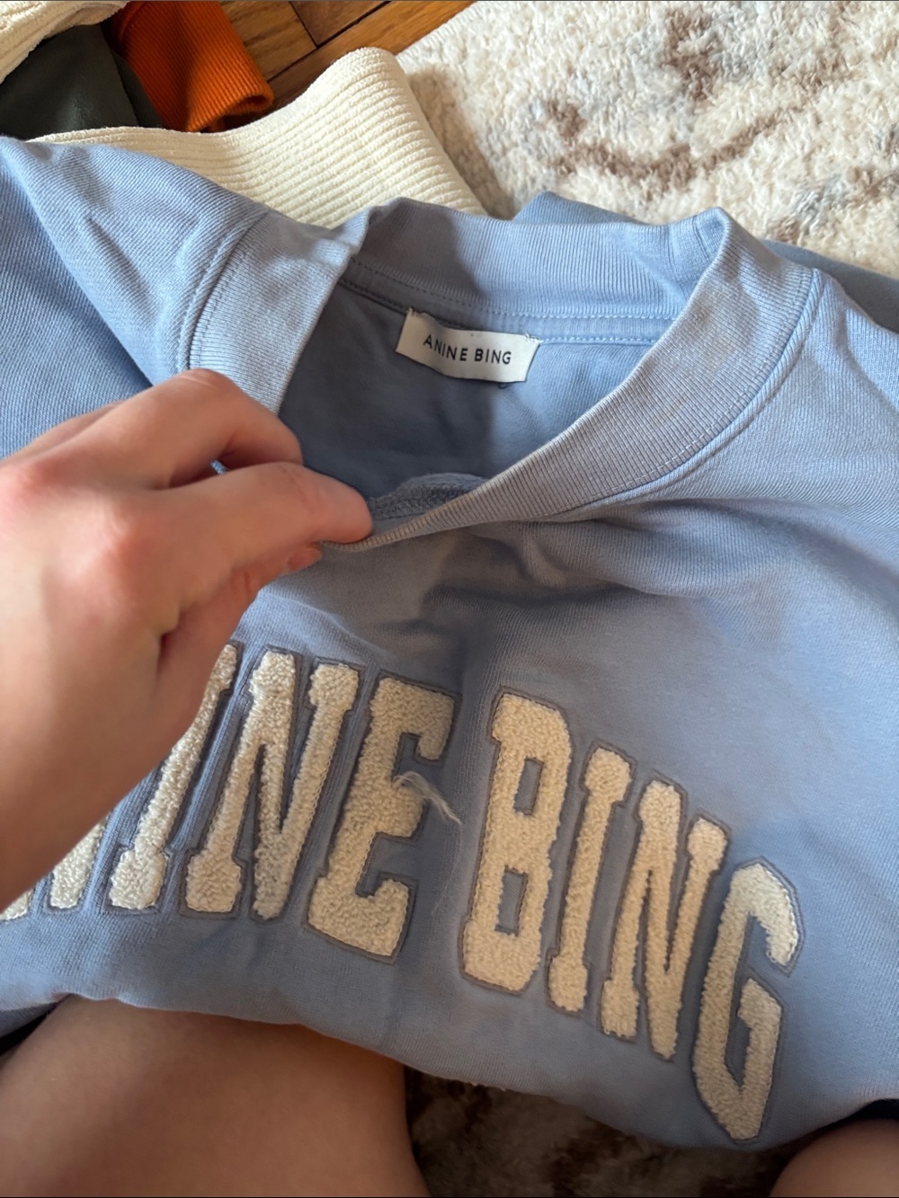Anine Bing Tyler Crewneck in Capri Blue Oversized Sweatshirt Sweater Graphic - Picture 2 of 10